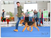 /album/galeria-de-fotos/bp2i1831-copy-1-jpg1/